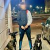 faycal_gh