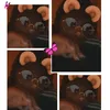 ranelmcfarlane33