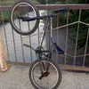 waterzaid