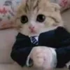 littlepedro07