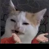 carnageintemporel