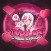 studycat_su