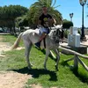 miguelescribanoro