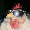 htttps_alvxx