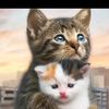 moyen_nakal5448