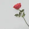 akari_790_