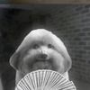 2ndgenslutpuppy