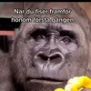 julianbussien