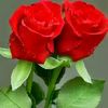 user6867172183360
