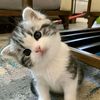 aishhh025