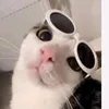 kimmanh1603210