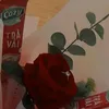 haw_nas