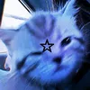 luna_09993