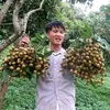 lucsongma