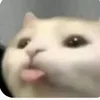 duyanhh_2
