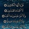 user8213354817638