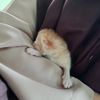 kaamilah.zhrh