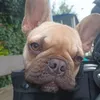 amyrivers68
