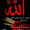 user8135107744053