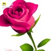 dhirendarsharma21
