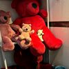 natasha_updy