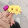 salmahamdy945