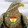 haji_sherwany