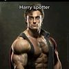 harry_spotter_