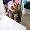 user3plscnhicv