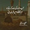 shahzaibmehar3811