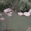 zinatoubal2