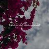 lin__muhamed