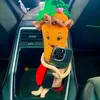 Lina🥕