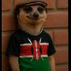 mastamemes