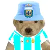 perrito_bostero7