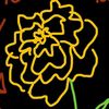 _usernameunavailable___