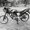 aldcxq86
