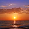 breezeebay24