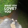 shehates.trbl3