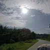 dedaunan_hijau98