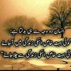 shahidmunir059