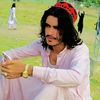 arifmasood21
