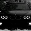 lov786842