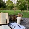quran_and_ca