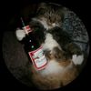 la_coocaracha