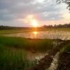 yusuf_ygy2