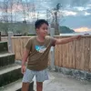 gene.vv