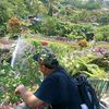 _asna4833
