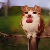 djdjjdhdhd27373