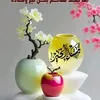 user7071206813044